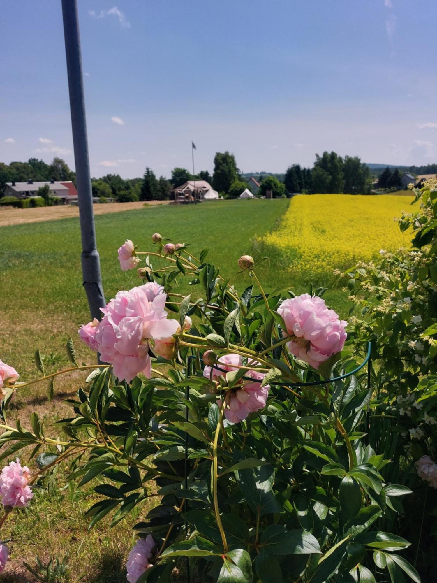ホテル Autark-Camp Gleis A. Durrhennersdorf エクステリア 写真